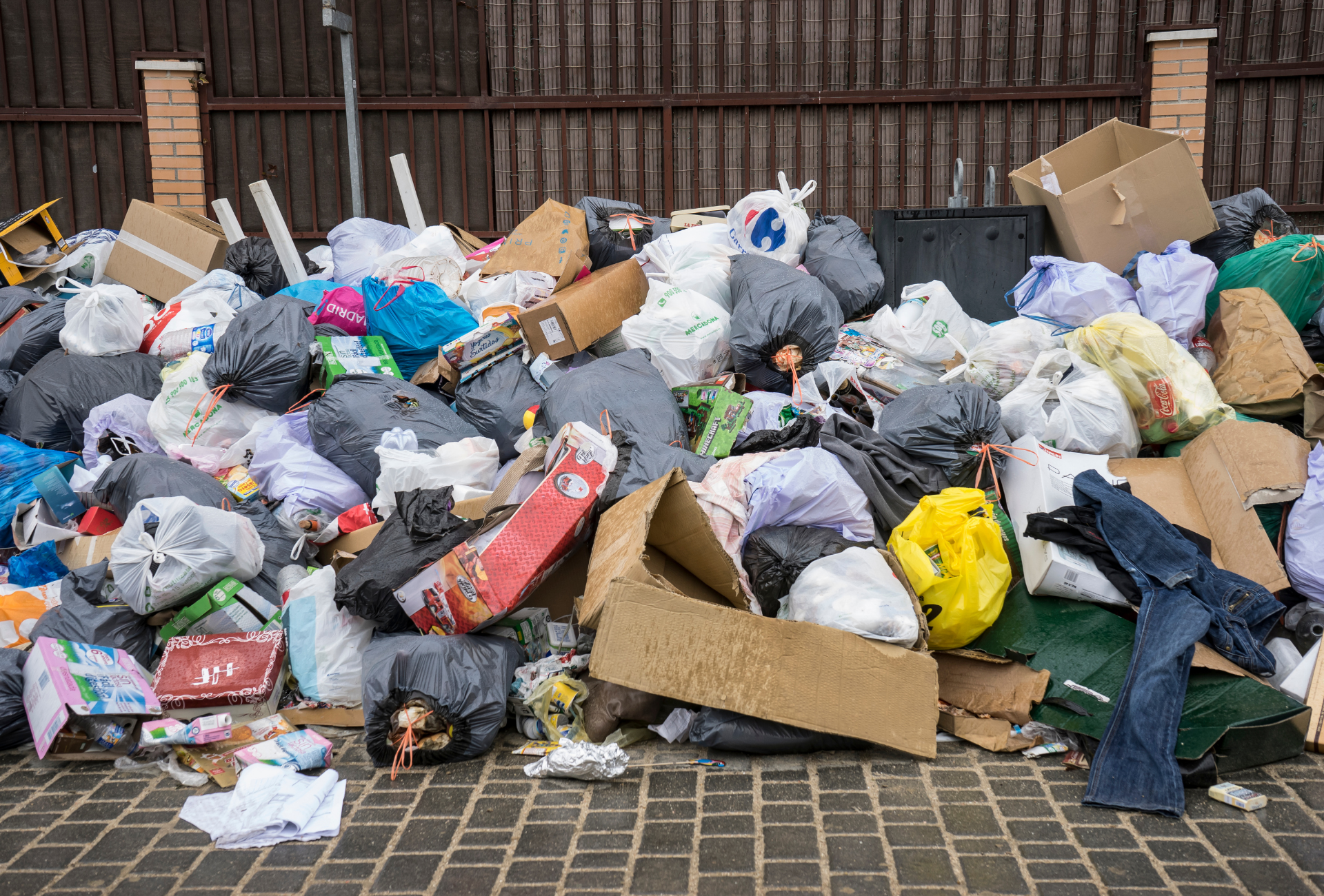 Tres Cantos: el reto oculto de las plagas en una ciudad moderna